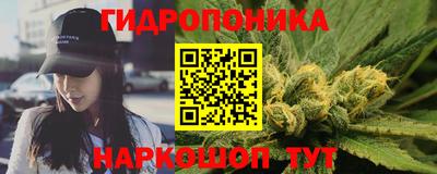 крисы Славянск-на-Кубани